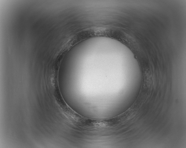 X0000062880698200601271622