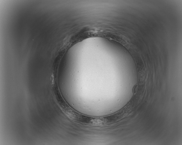 X0000062880703200601271622