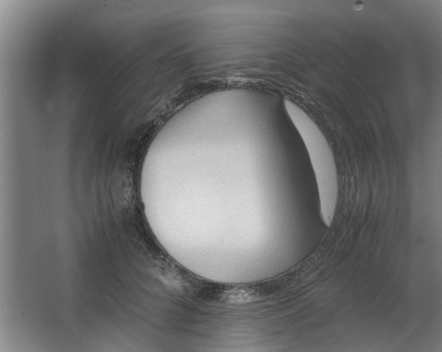 X0000062880704200601271622