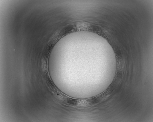 X0000062880705200601271622