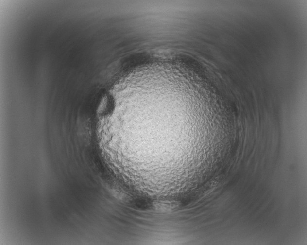 X0000062880707200601271622
