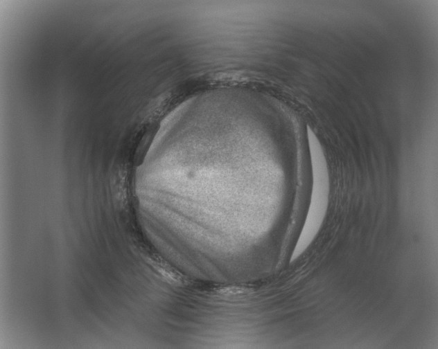 X0000062880708200601271622