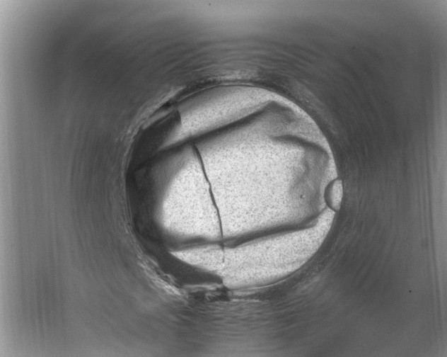 X0000062880721200601271621