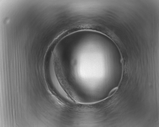 X0000062880722200601271621