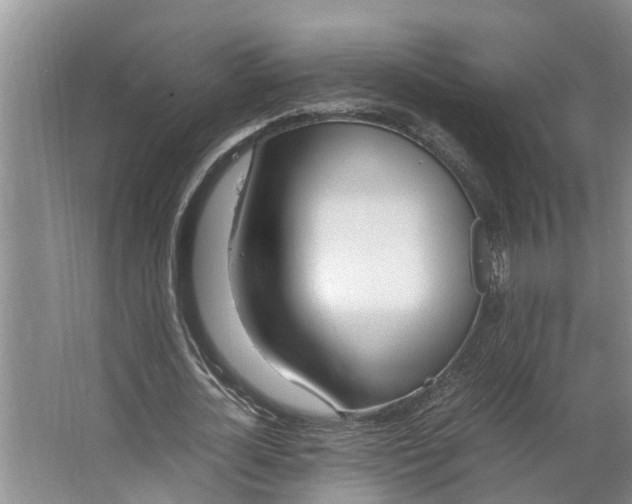 X0000062880724200601271621