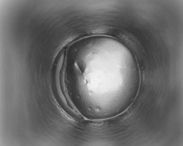 X0000062880725200601271621