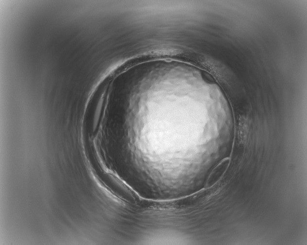 X0000062880726200601271621