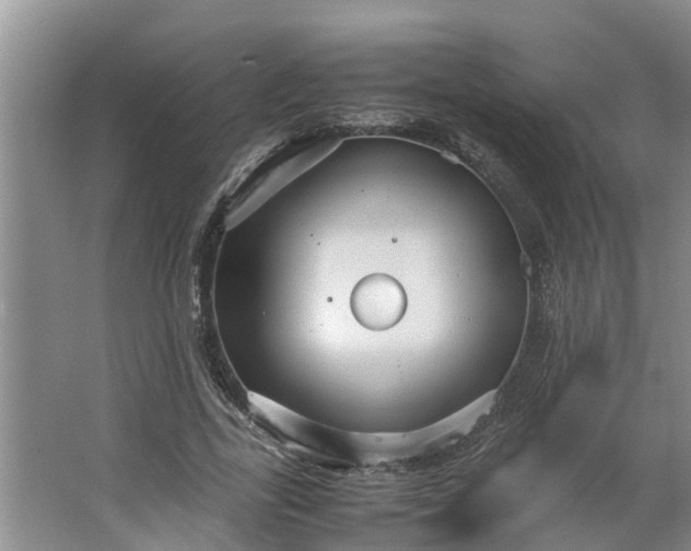 X0000062880731200601271621