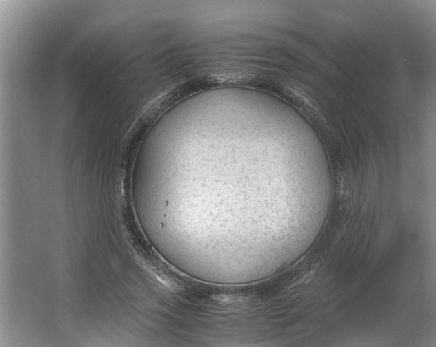 X0000062880733200601271621