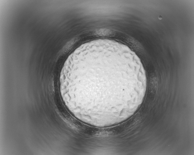 X0000062880734200601271621