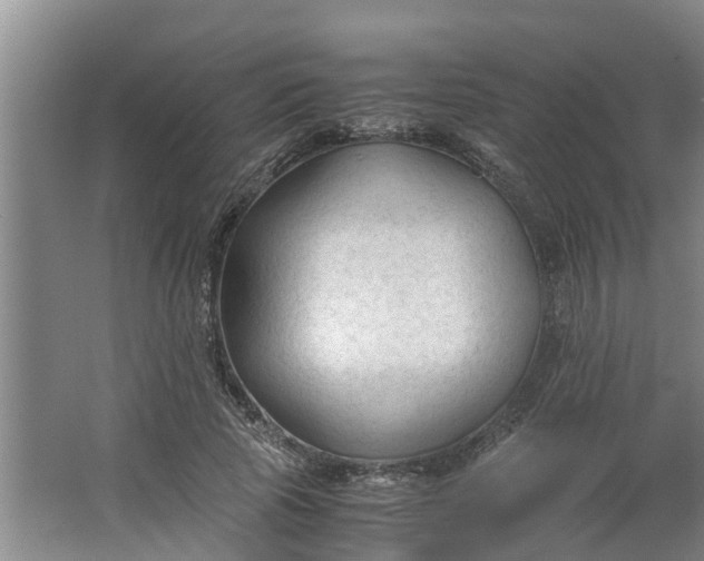 X0000062880737200601271621