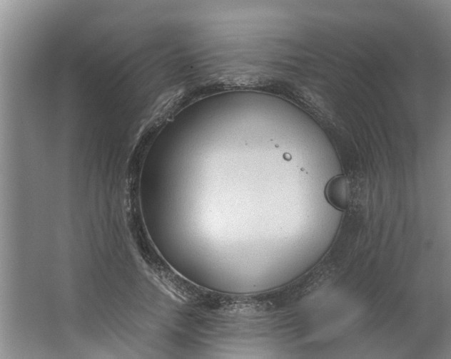 X0000062880738200601271621