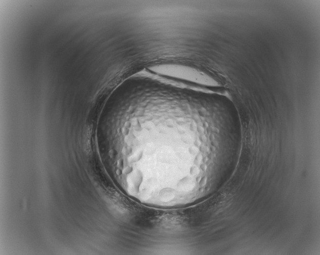 X0000062880742200601271621