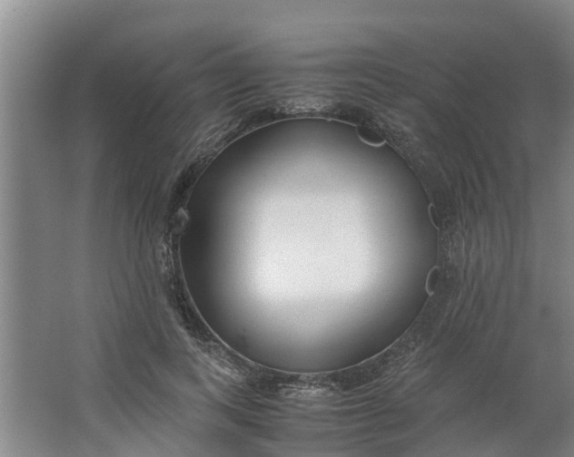 X0000062880743200601271621