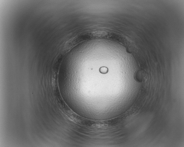 X0000062880745200601271621