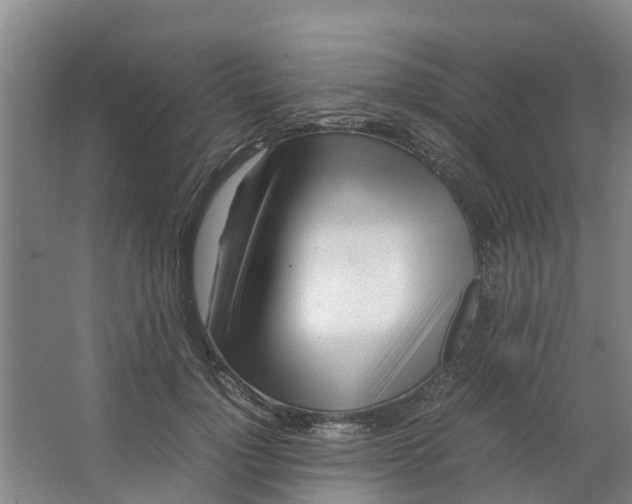 X0000062880748200601271621