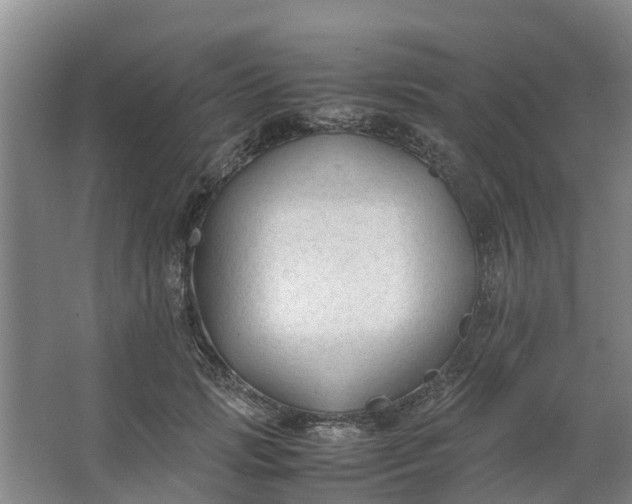 X0000062880749200601271621