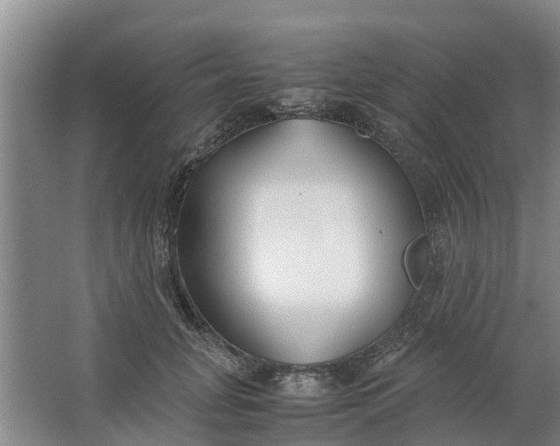 X0000062880751200601271621