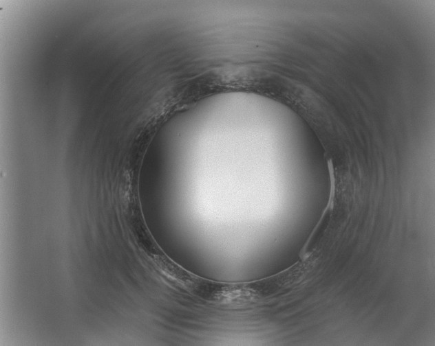 X0000062880752200601271621