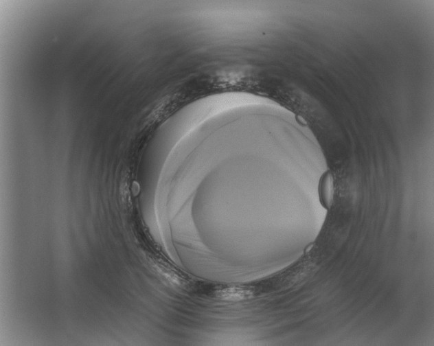 X0000062880754200601271621