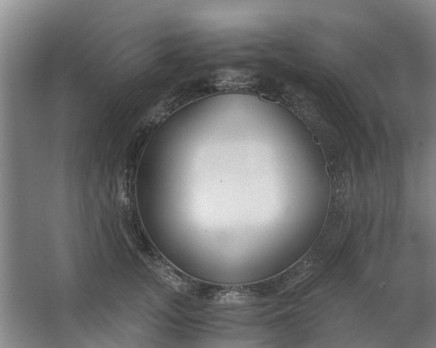 X0000062880755200601271621