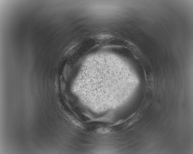 X0000062880762200601271621