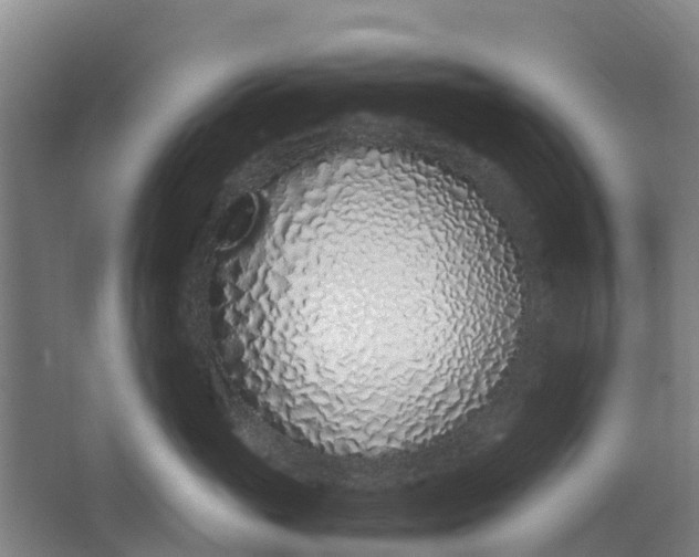 X0000062880765200601271621