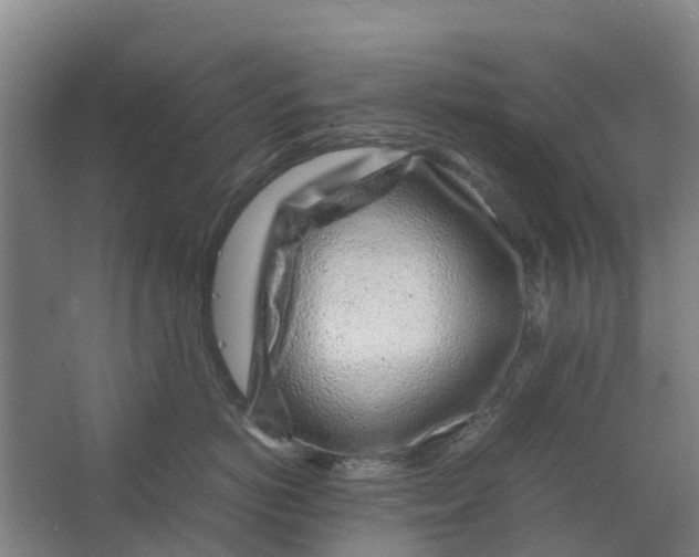 X0000062880766200601271621