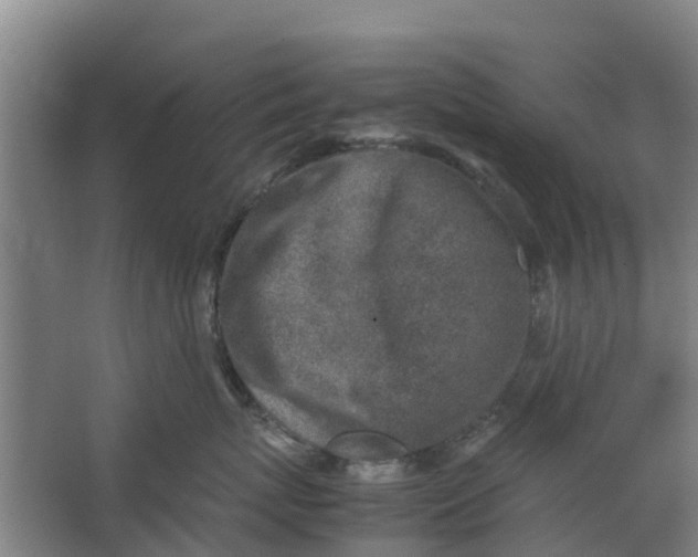 X0000062880767200601271621