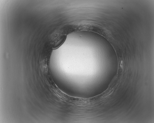 X0000062880771200601271621