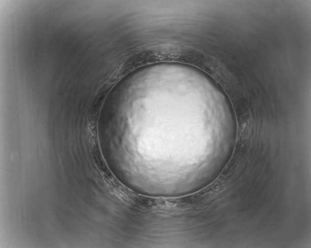 X0000062880772200601271621