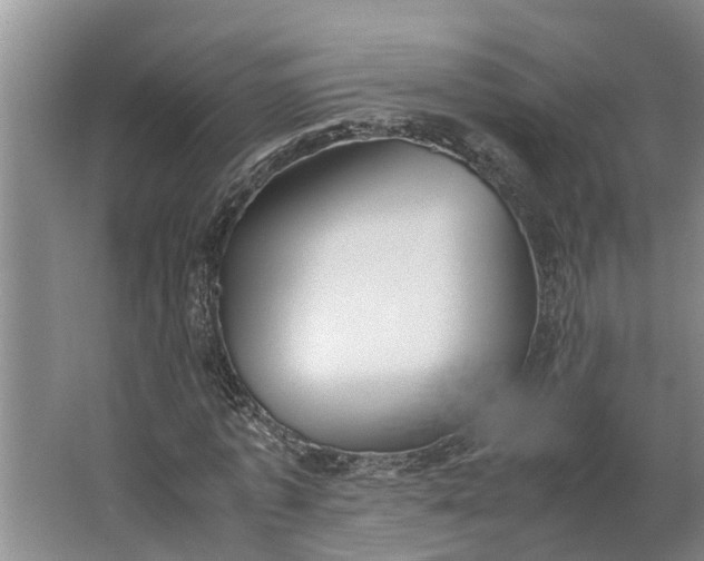 X0000062880773200601271621