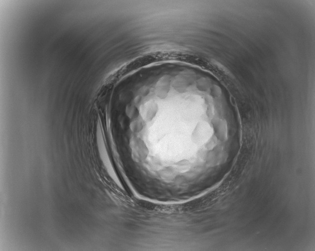 X0000062880775200601271621