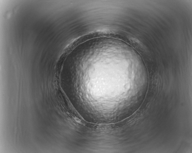 X0000062880776200601271621