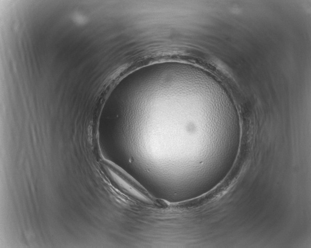 X0000062880777200601271621