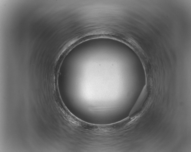 X0000062880781200601271620