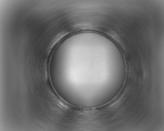 X0000062880782200601271620