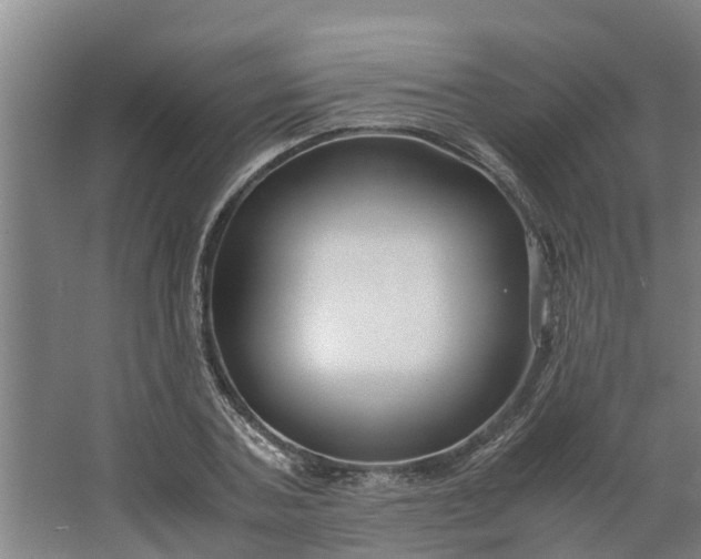 X0000062880787200601271620