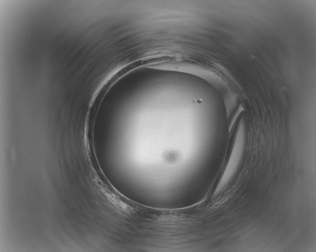 X0000062880788200601271620