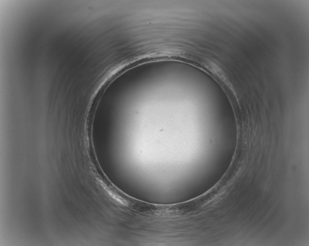 X0000062880789200601271620