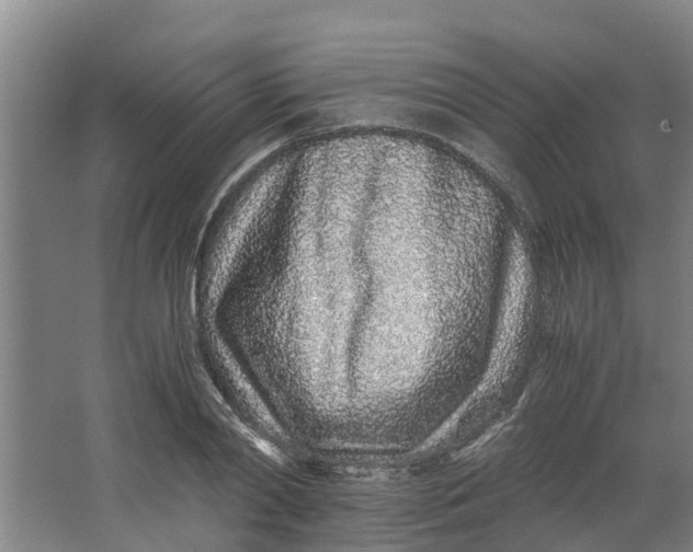 X0000062880790200601271620