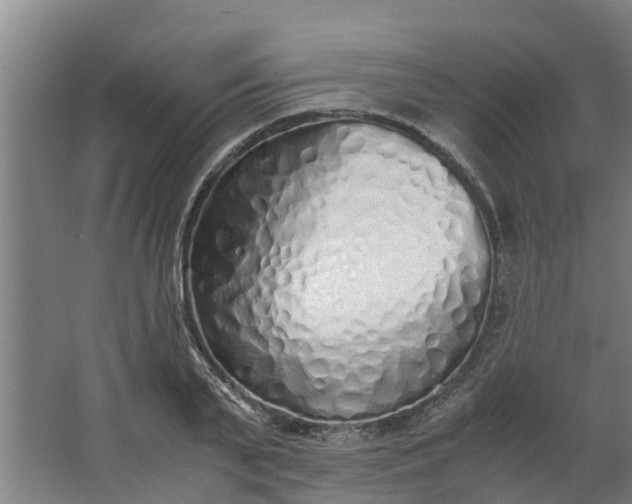 X0000062880791200601271620