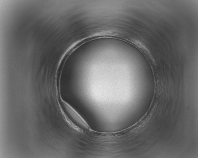 X0000062880792200601271620