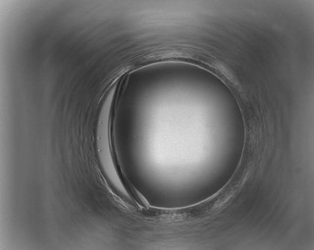 X0000062880793200601271620