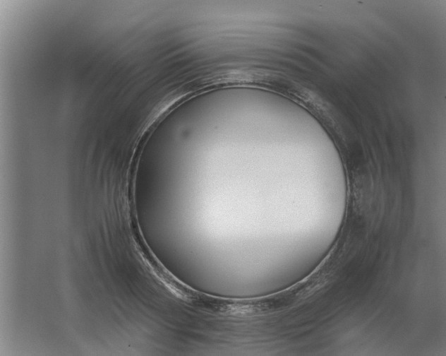 X0000062880794200601271620