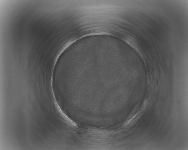 X0000062880797200601271620