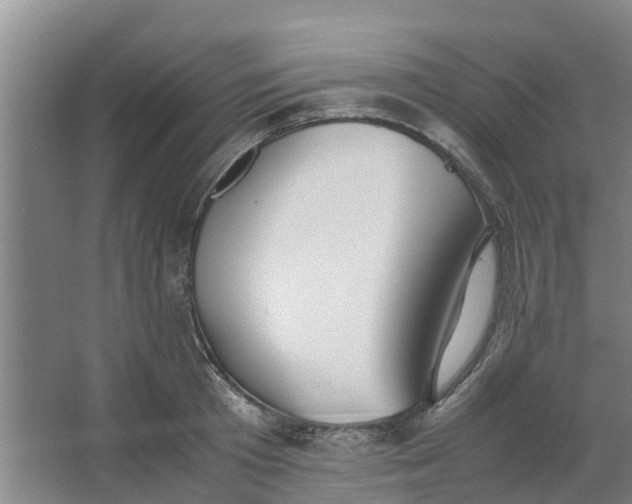 X0000062880801200601271620