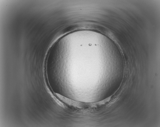 X0000062880803200601271620