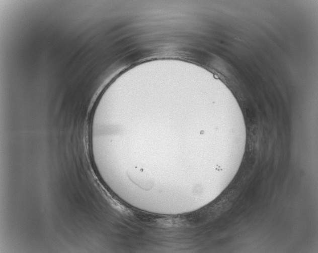 X0000062880804200601271620