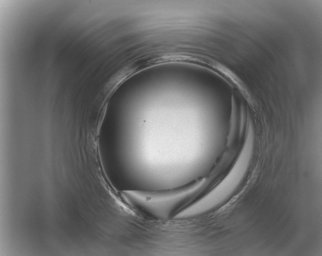 X0000062880809200601271620